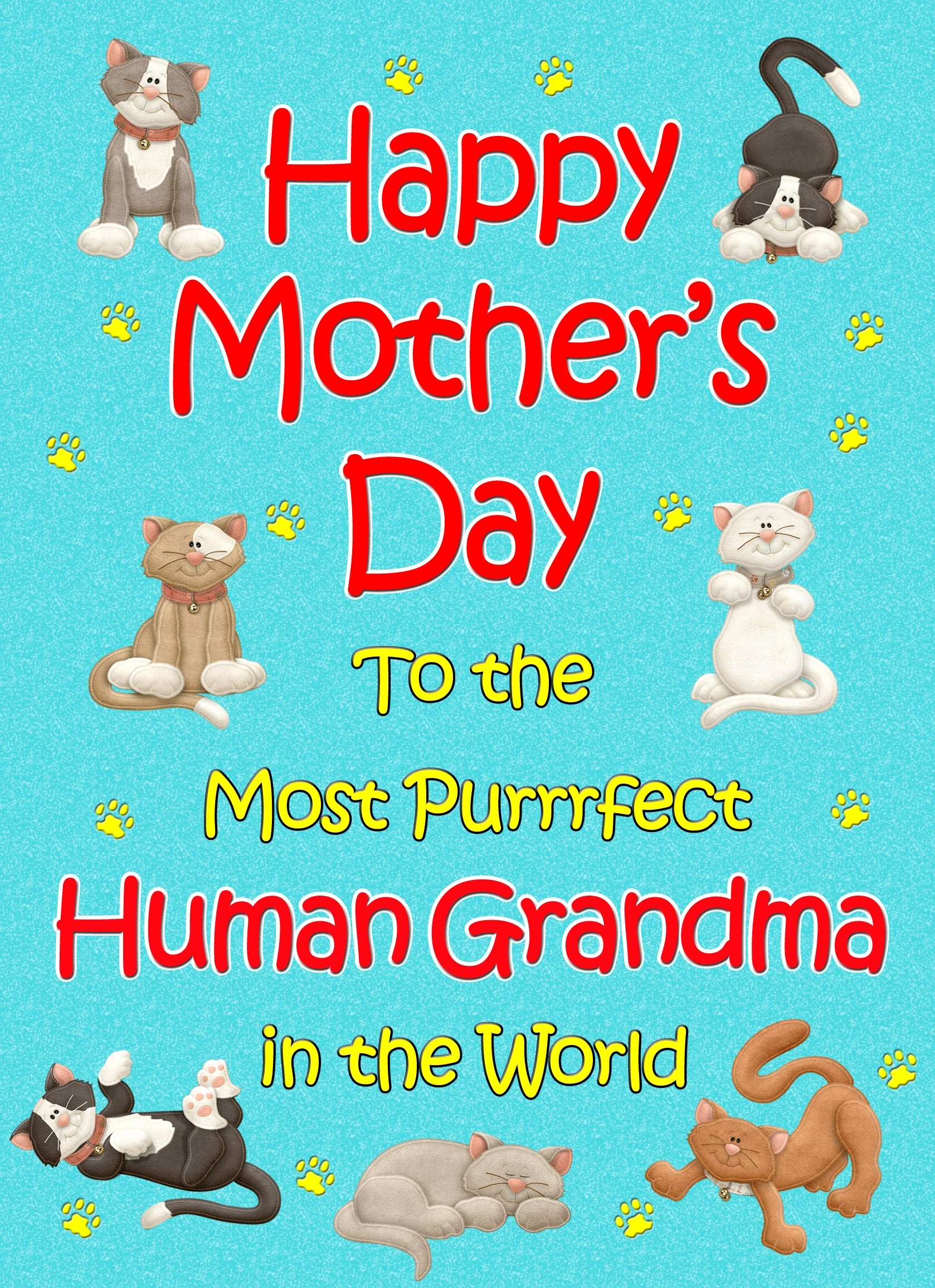 From The Cat Mothers Day Card (Turquoise, Purrrfect Human Grandma)