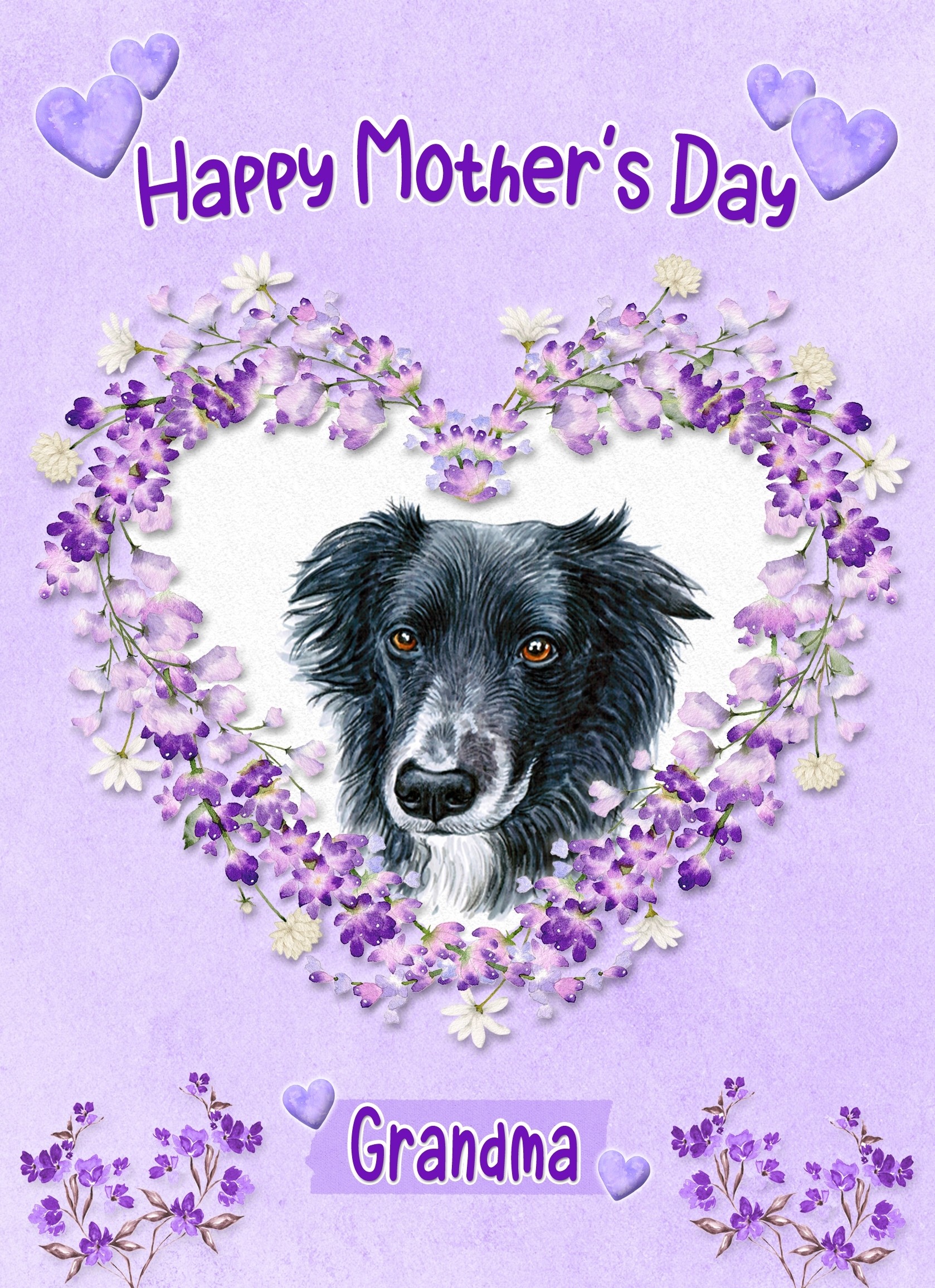 Border Collie Dog Mothers Day Card (Happy Mothers, Grandma)
