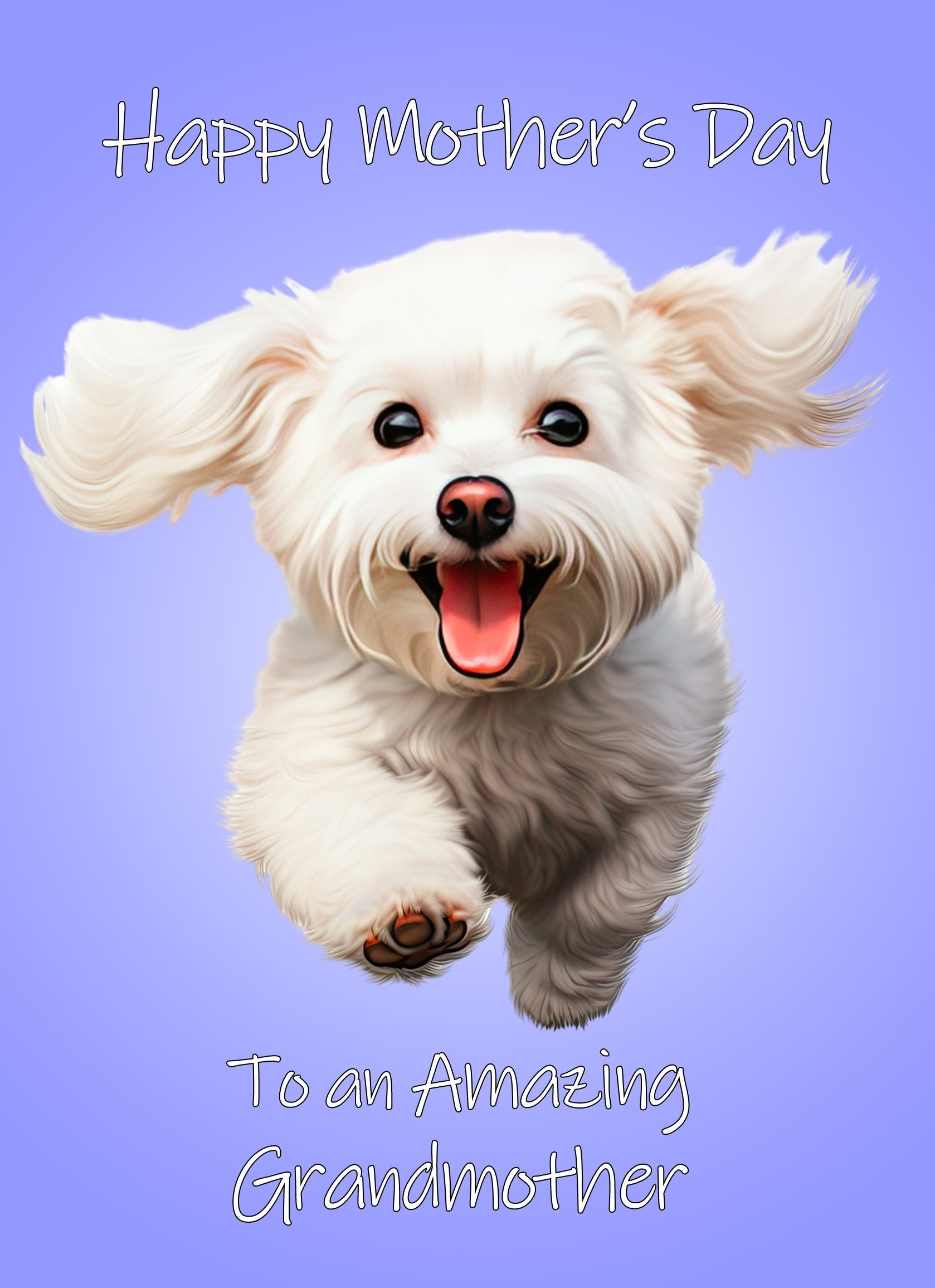 Bichon Frise Dog Mothers Day Card For Grandmother
