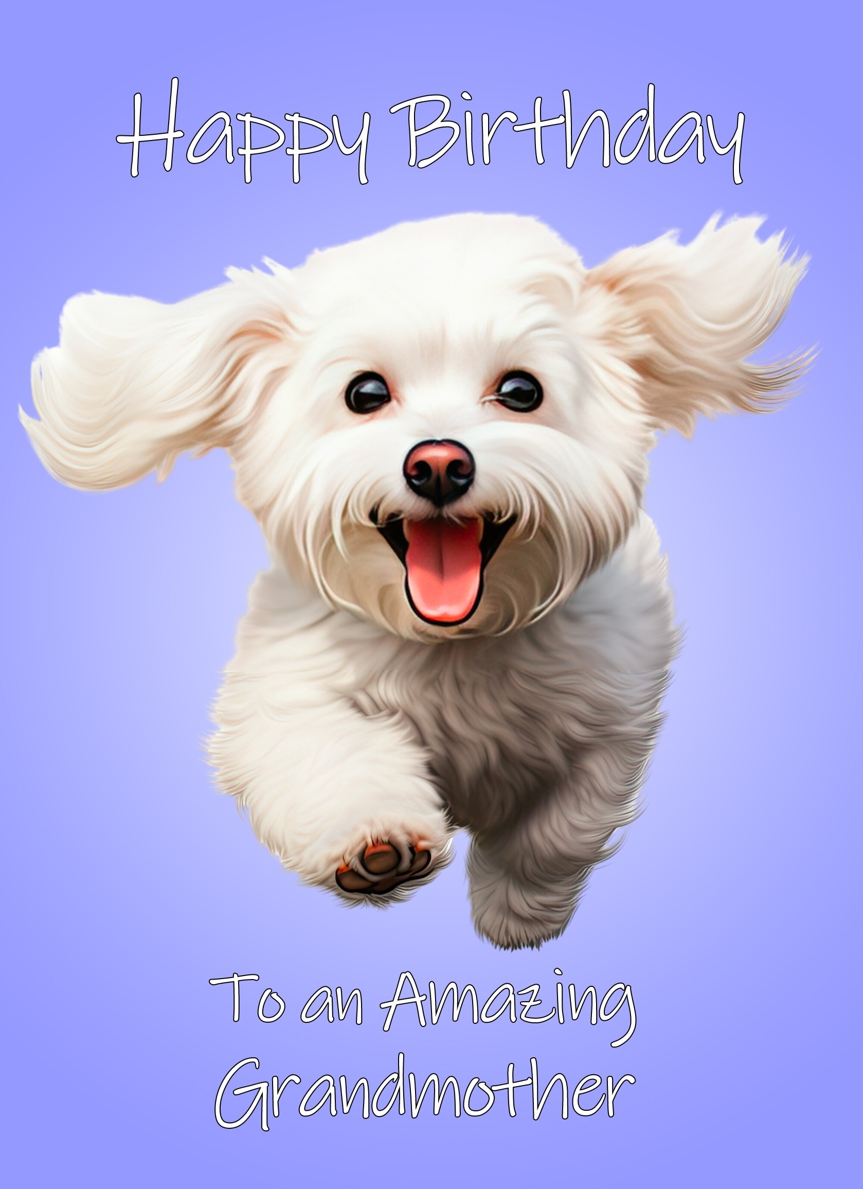 Bichon Frise Dog Birthday Card For Grandmother
