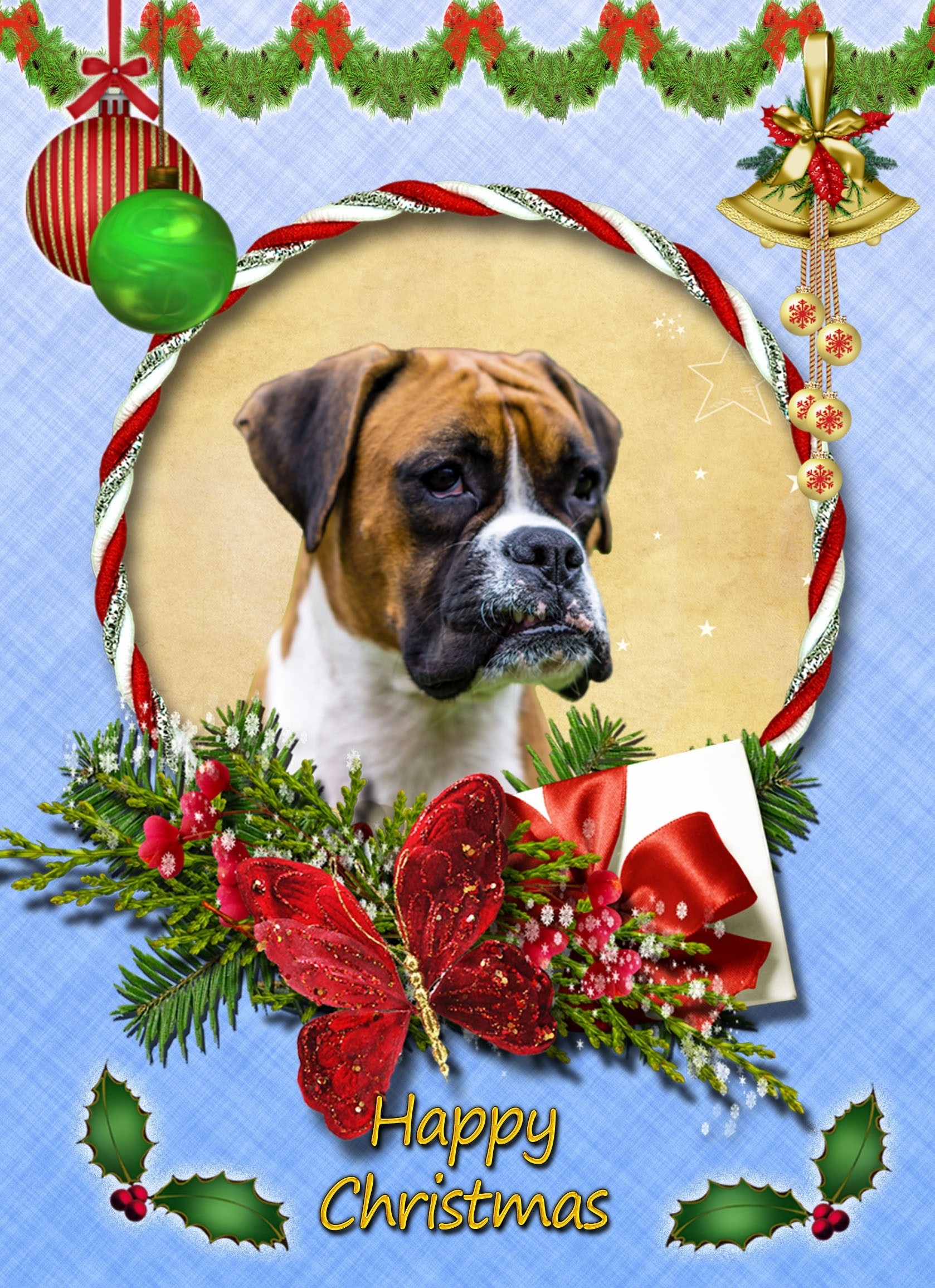 Boxer Christmas Card