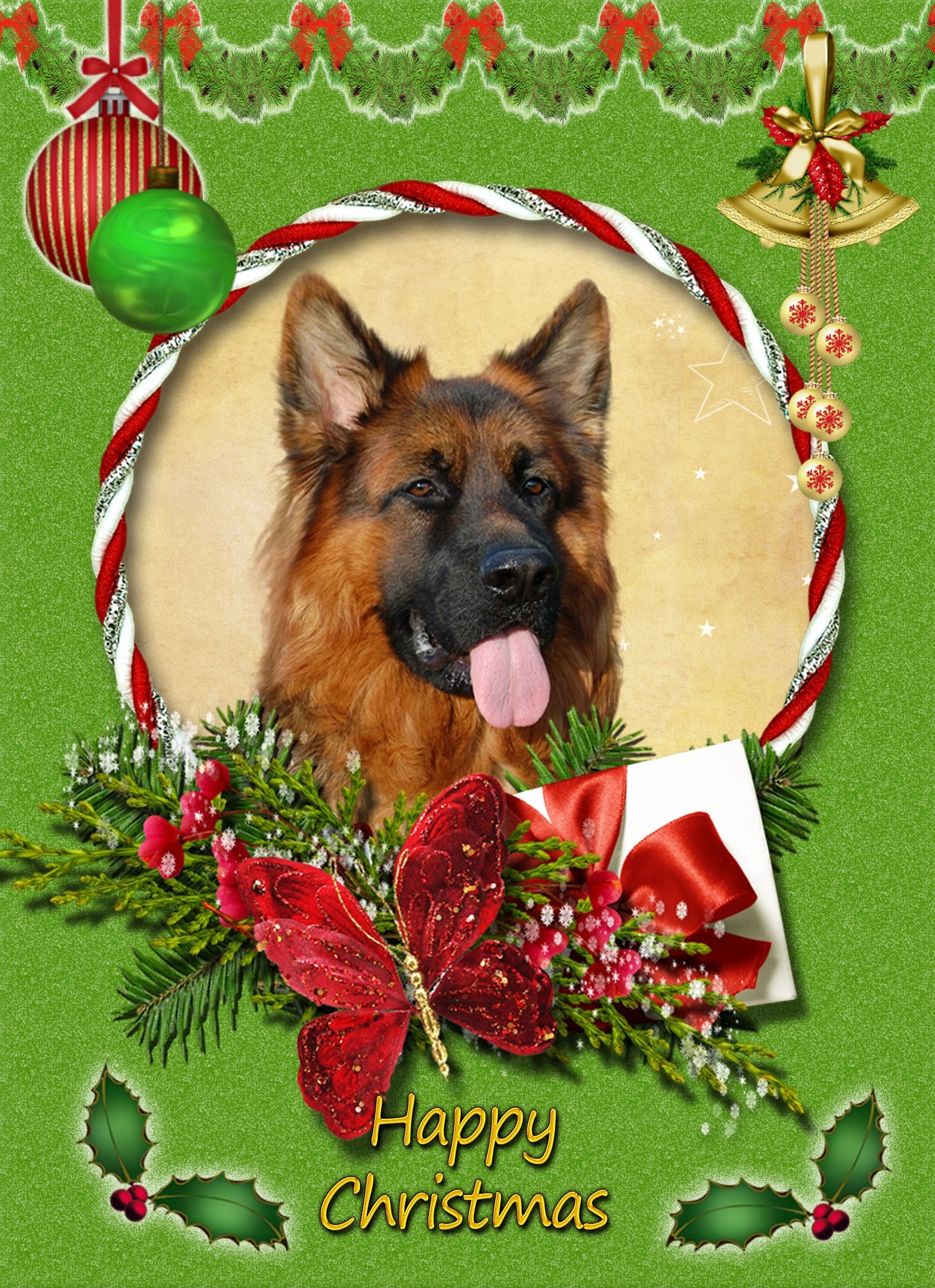 German Shepherd christmas card