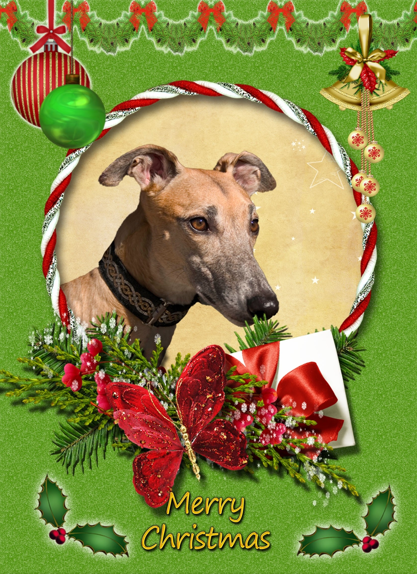Greyhound christmas card