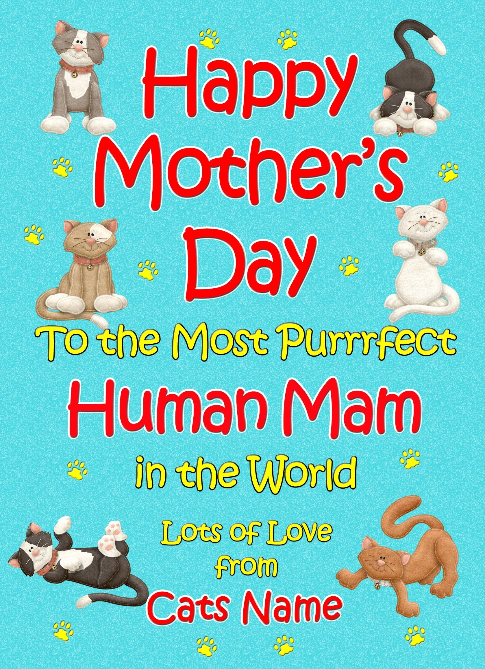 Personalised From The Cat Mothers Day Card (Turquoise, Purrrfect Human Mam)