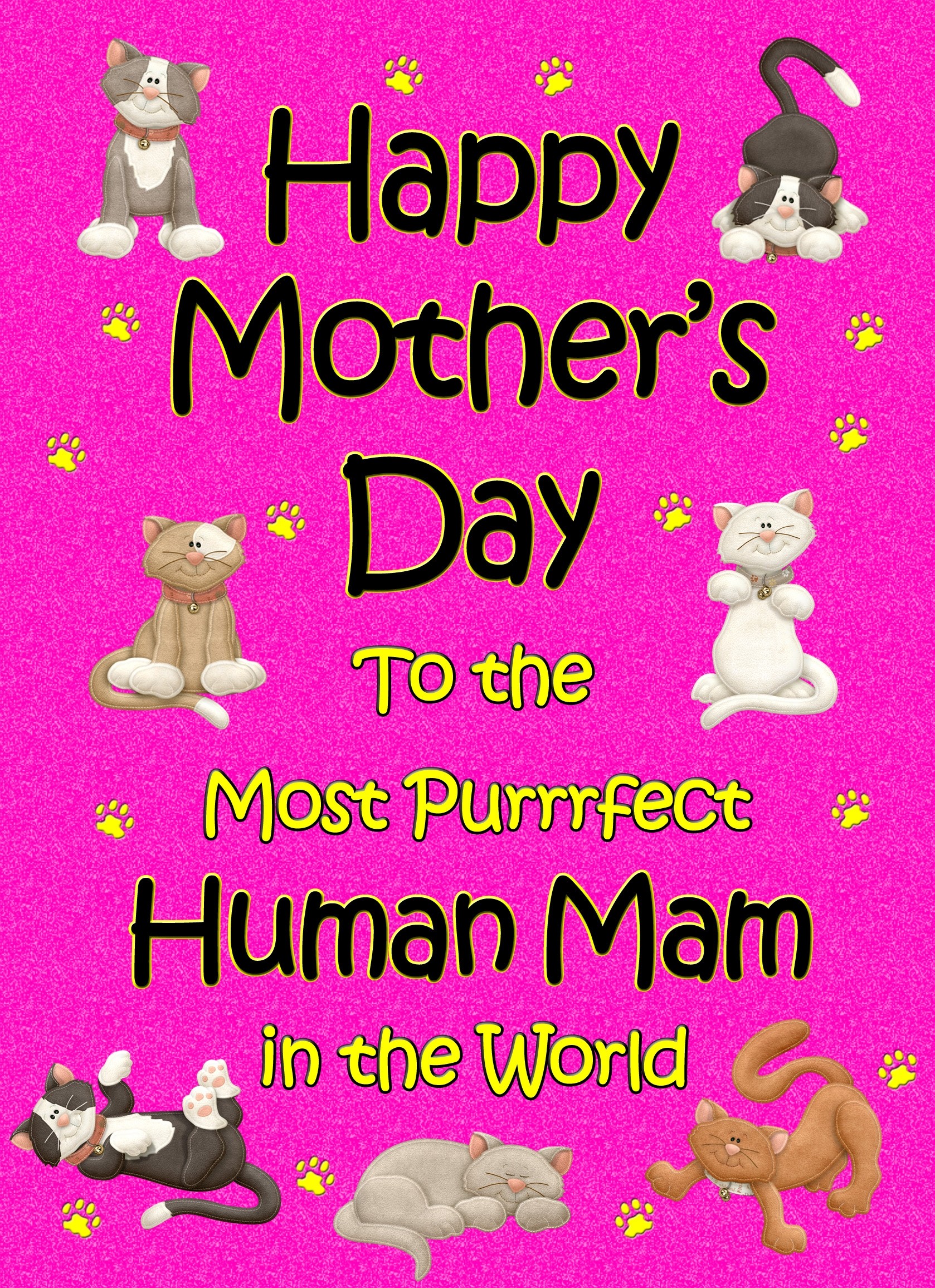 From The Cat Mothers Day Card (Cerise, Purrrfect Human Mam)