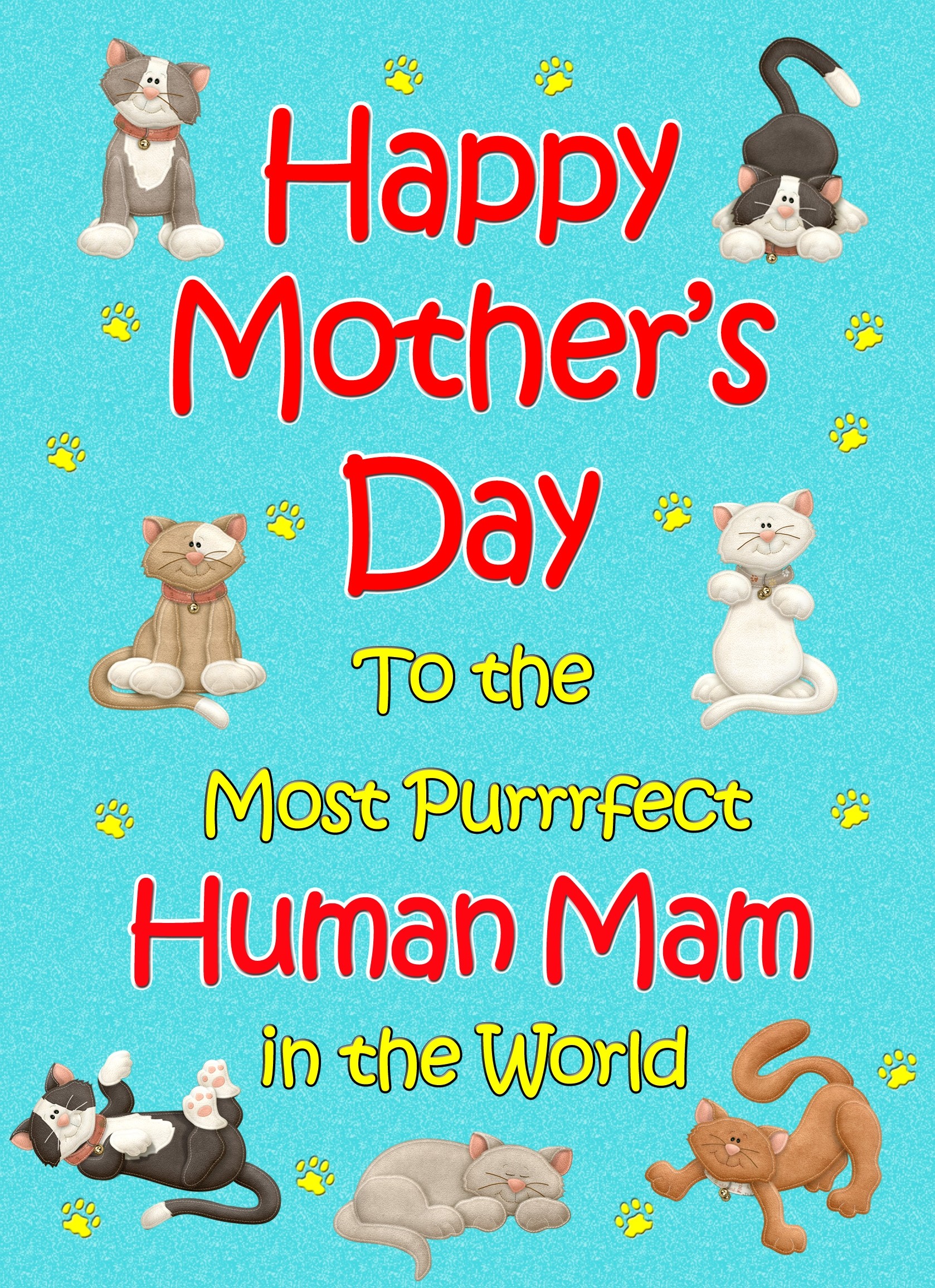 From The Cat Mothers Day Card (Turquoise, Purrrfect Human Mam)