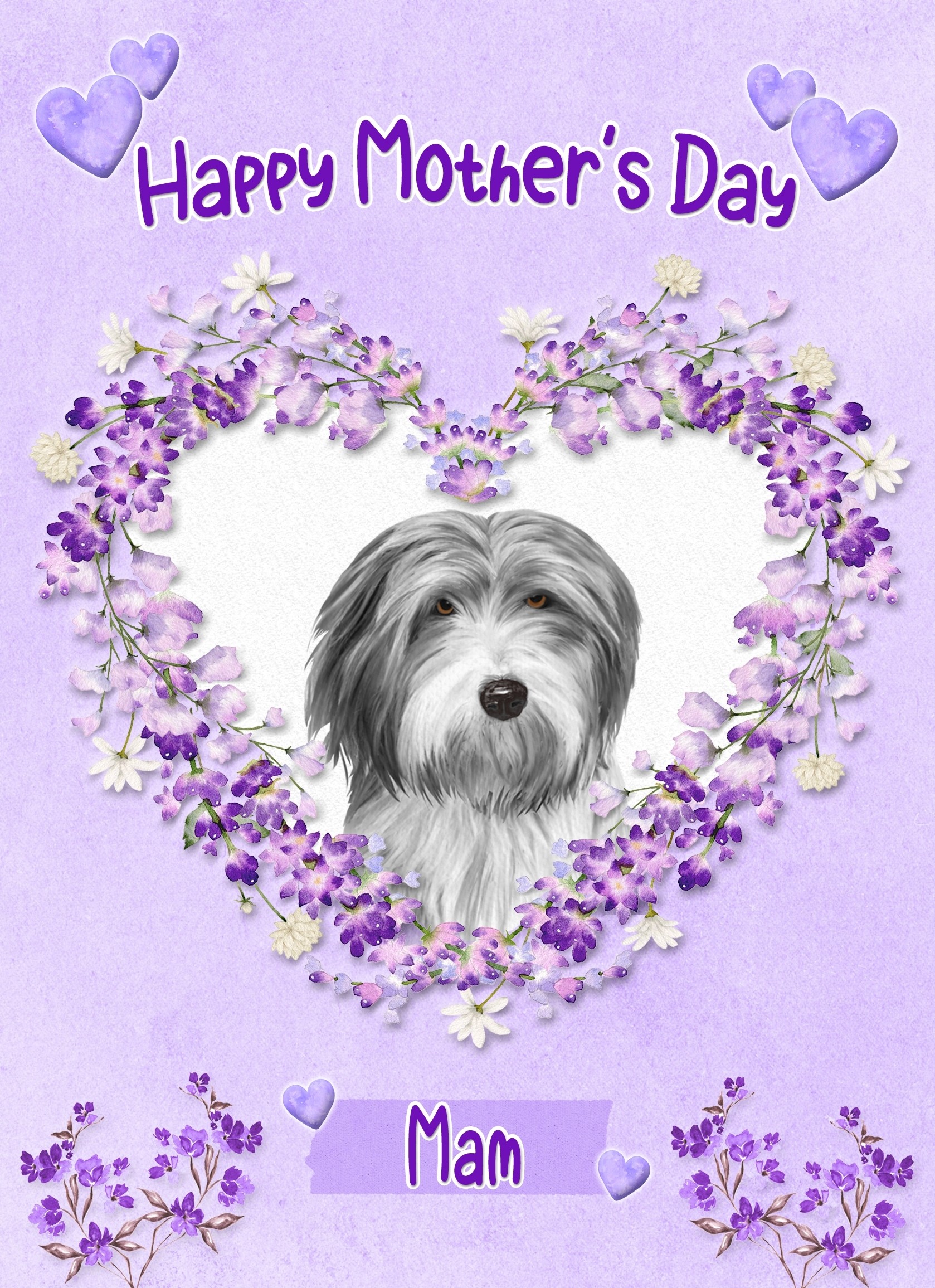 Bearded Collie Dog Mothers Day Card (Happy Mothers, Mam)