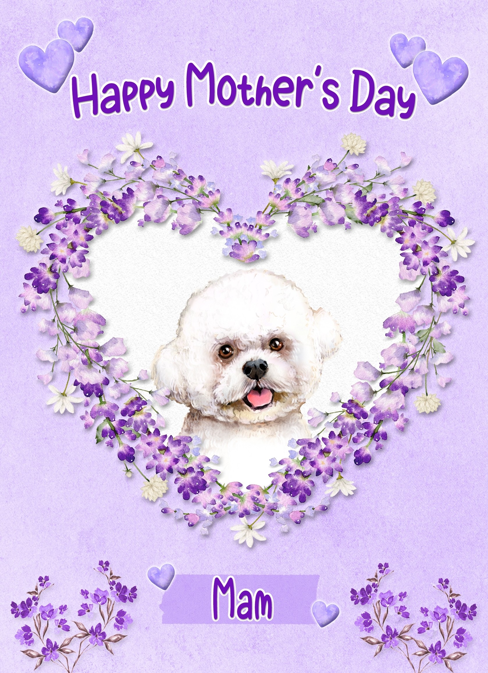Bichon Frise Dog Mothers Day Card (Happy Mothers, Mam)