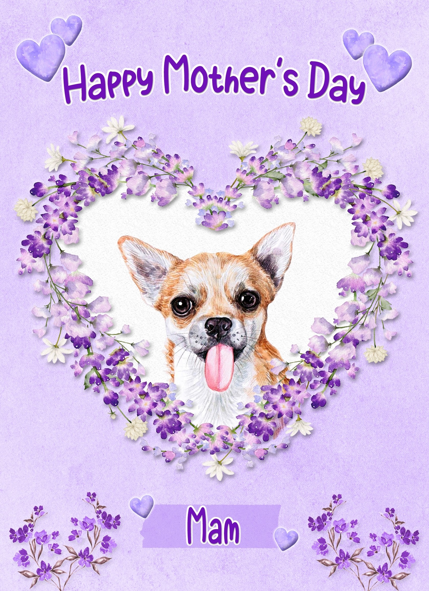 Chihuahua Dog Mothers Day Card (Happy Mothers, Mam)