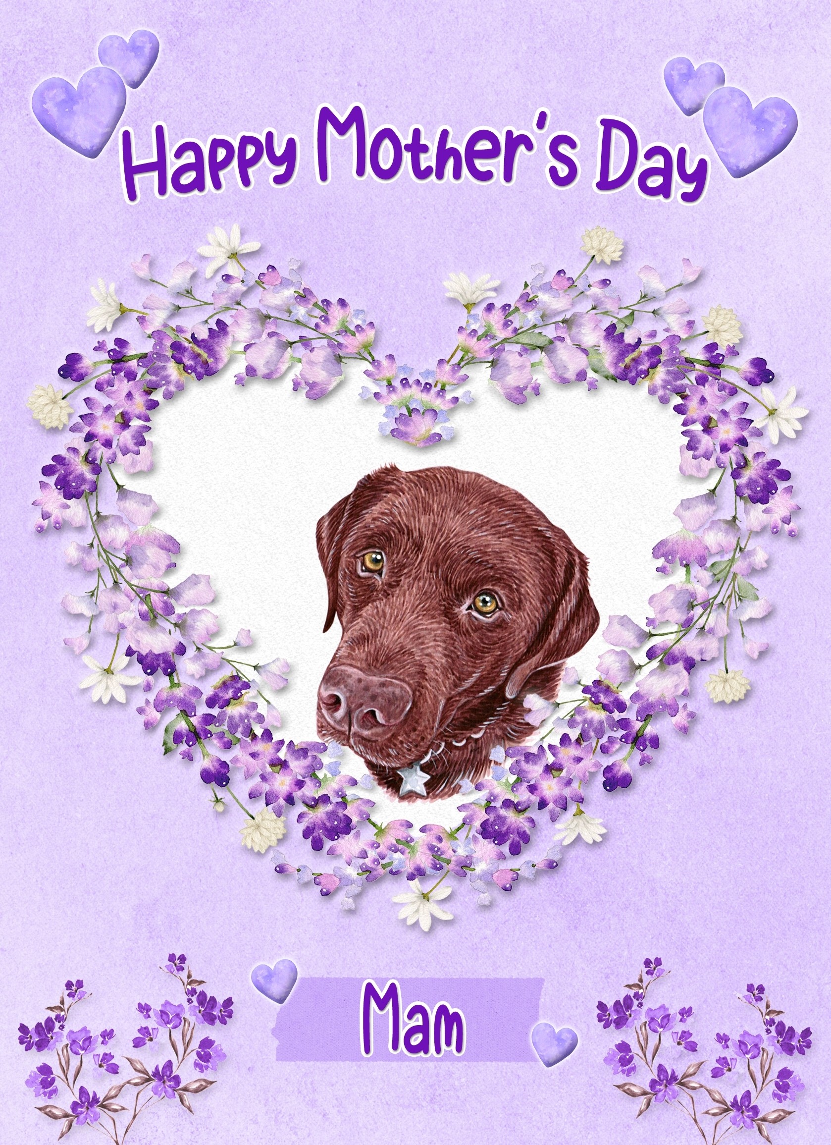 Chocolate Labrador Dog Mothers Day Card (Happy Mothers, Mam)