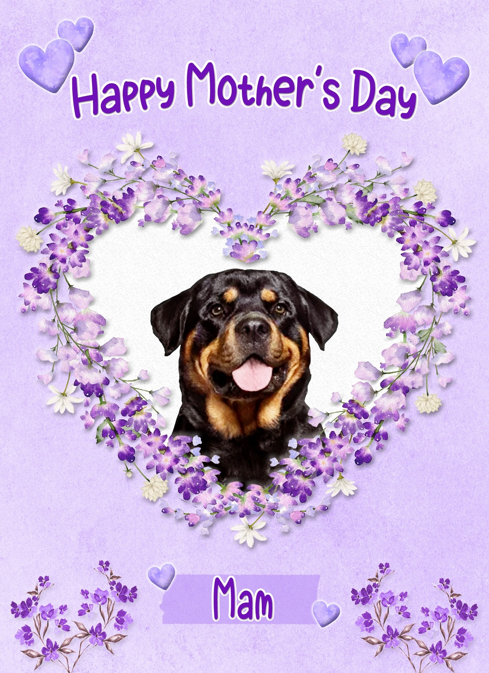 Rottweiler Dog Mothers Day Card (Happy Mothers, Mam)
