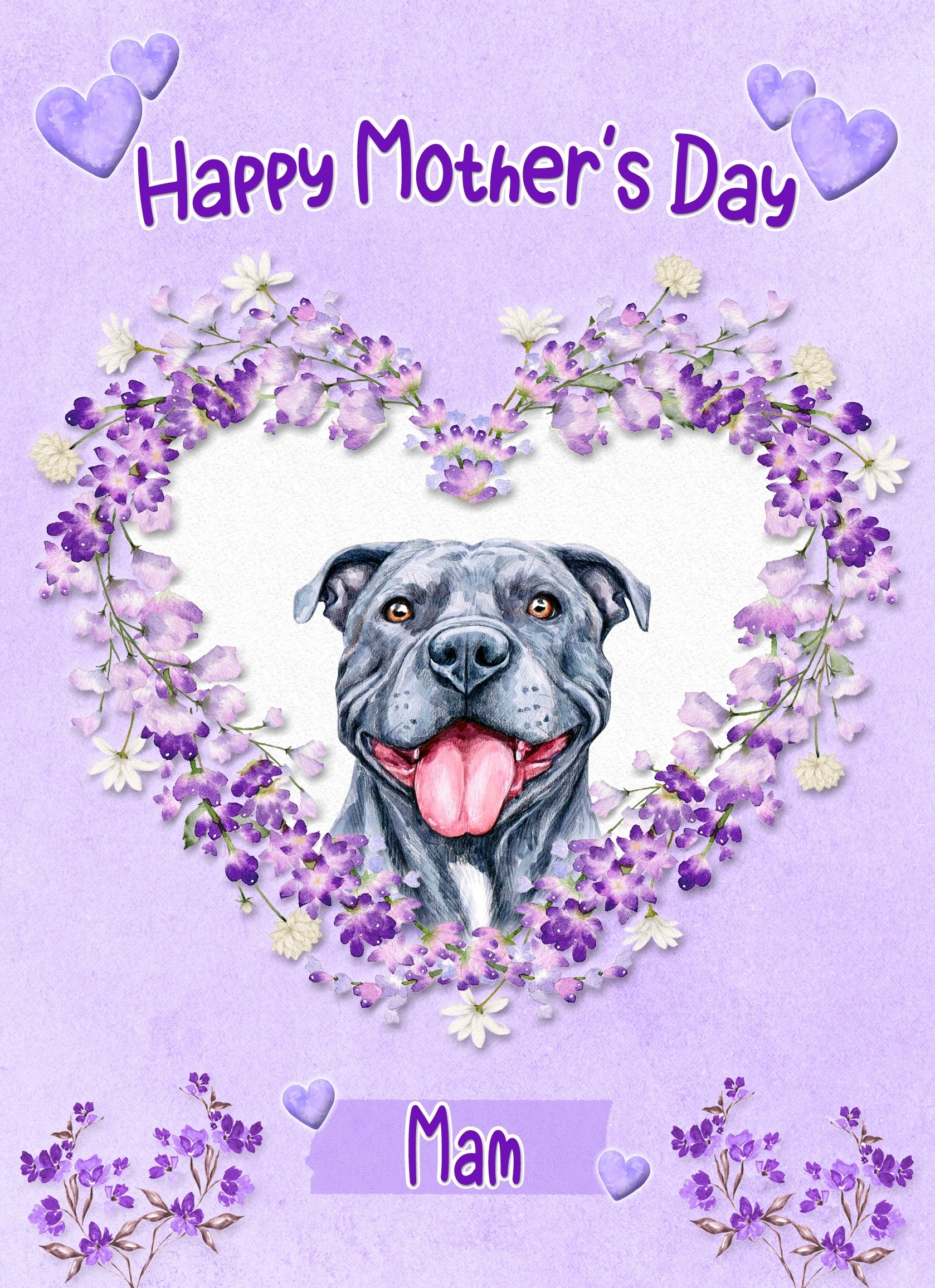 Staffordshire Bull Terrier Dog Mothers Day Card (Happy Mothers, Mam)