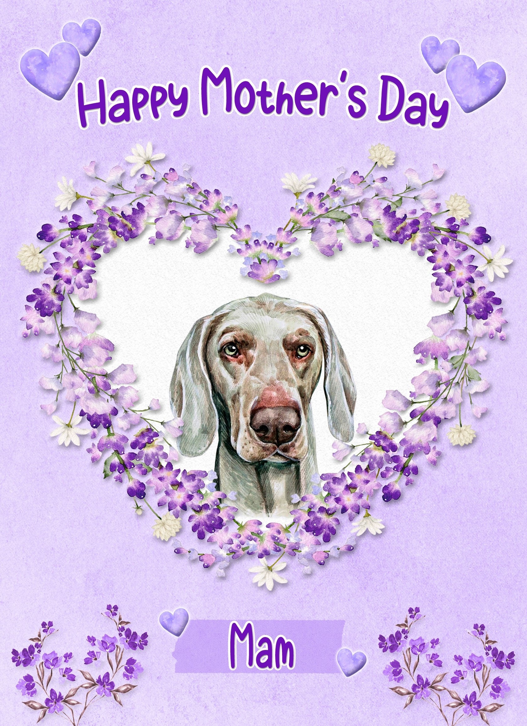 Weimaraner Dog Mothers Day Card (Happy Mothers, Mam)