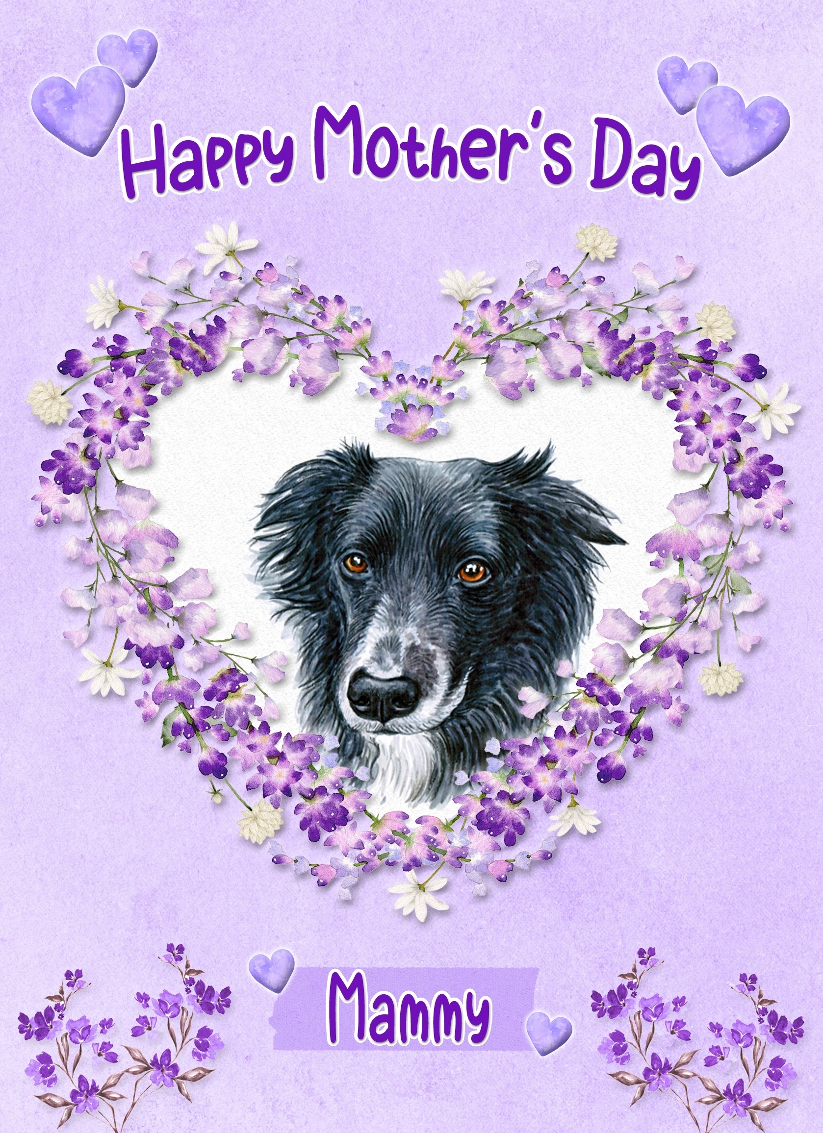 Border Collie Dog Mothers Day Card (Happy Mothers, Mammy)