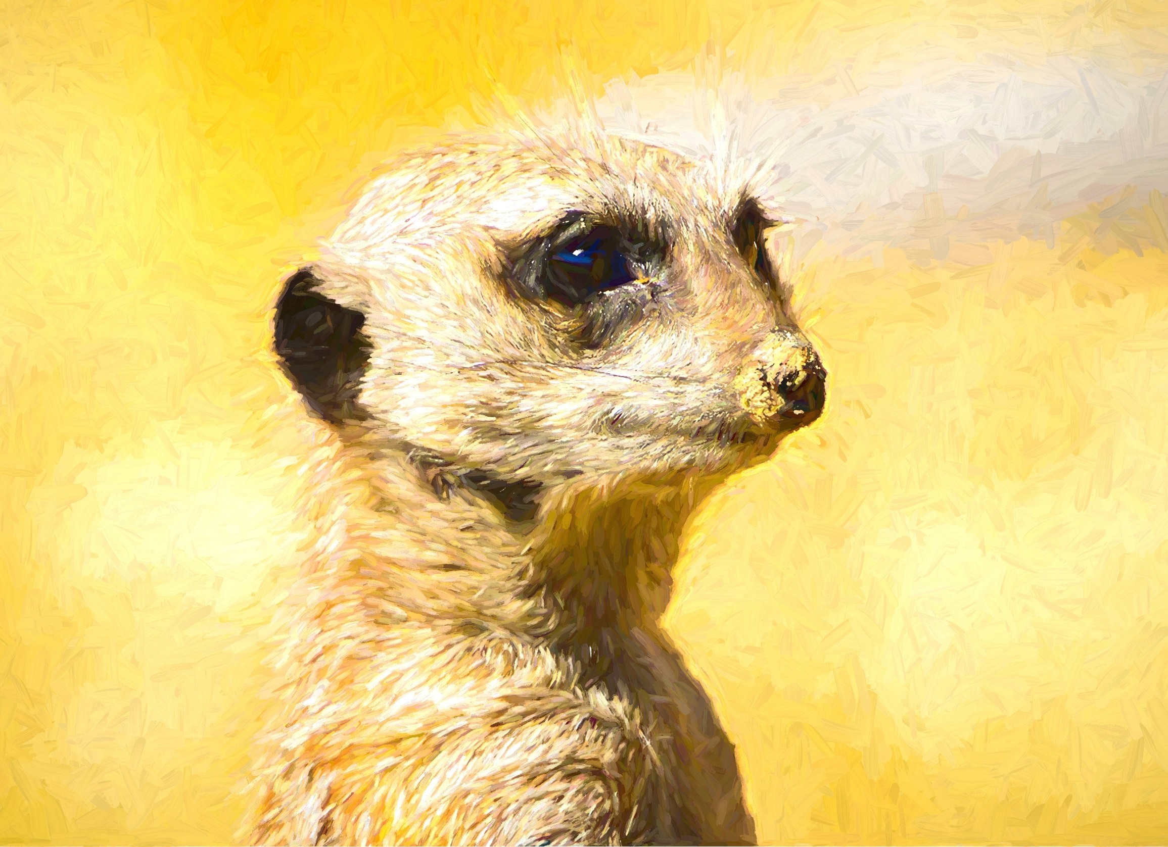 Meerkat Art Blank Greeting Card