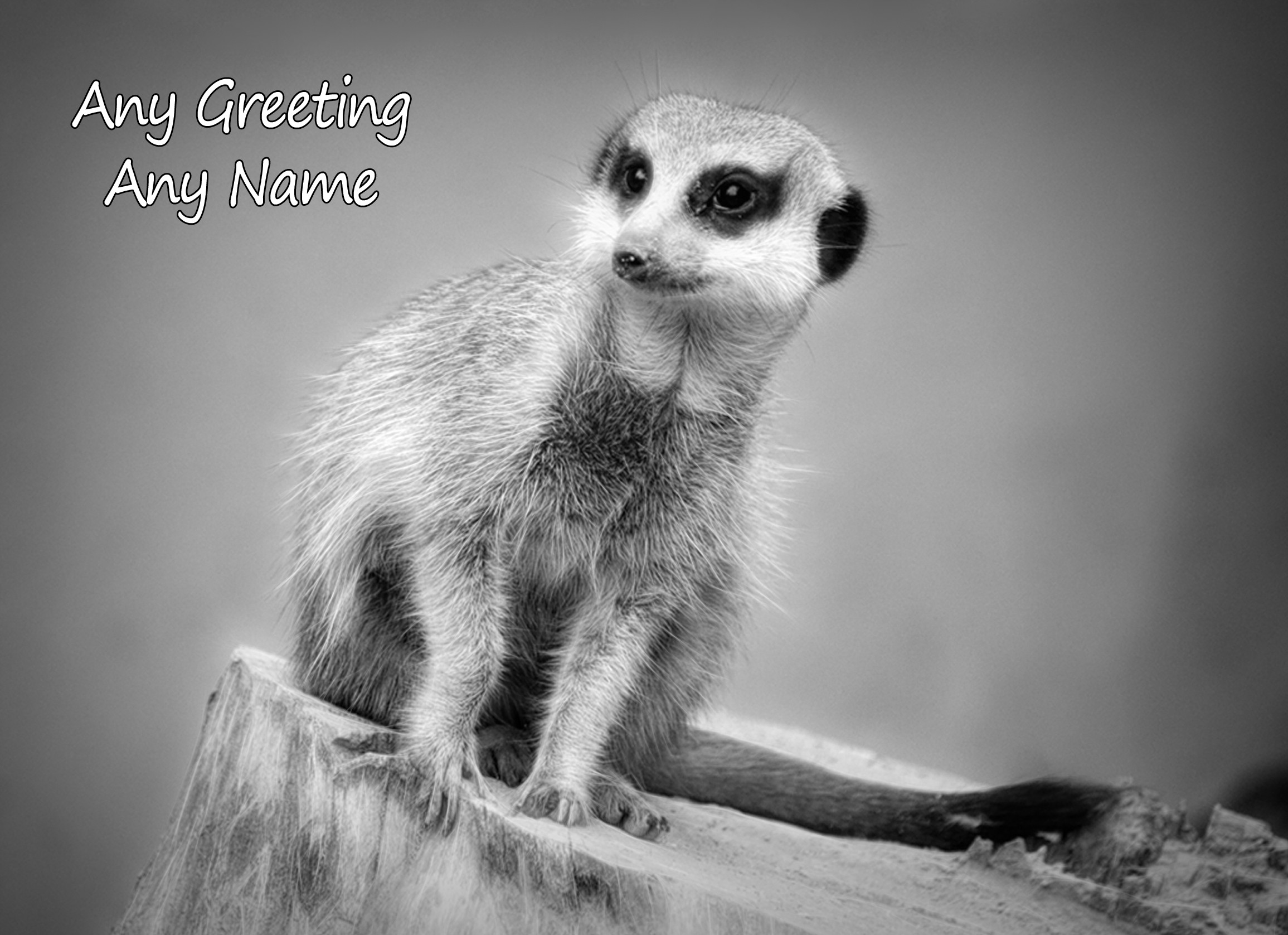 Personalised Meerkat Black and White Art Greeting Card (Birthday, Christmas, Any Occasion)