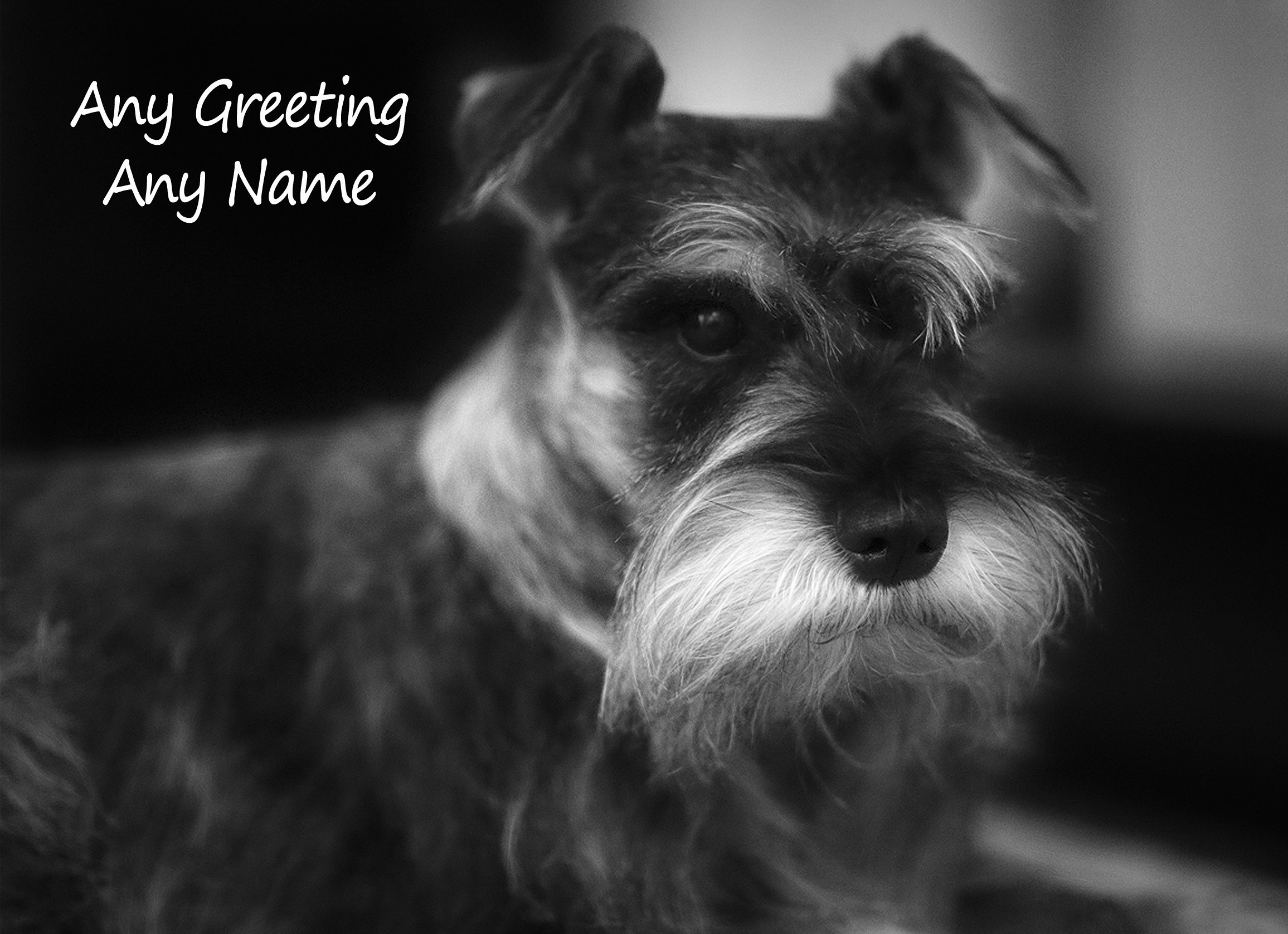 Personalised Miniature Schnauzer Black and White Art Greeting Card (Birthday, Christmas, Any Occasion)