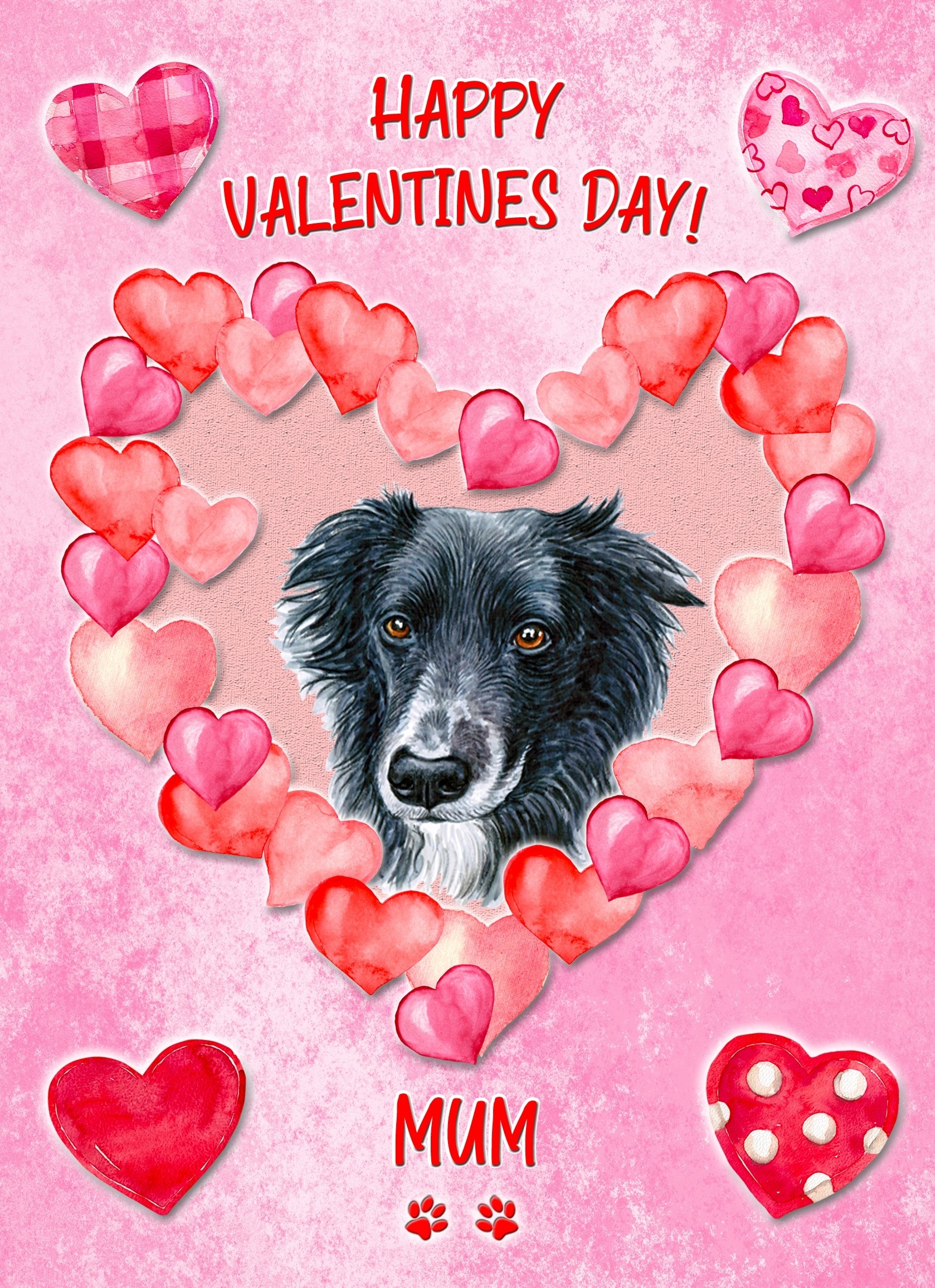 Border Collie Dog Valentines Day Card (Happy Valentines, Mum)