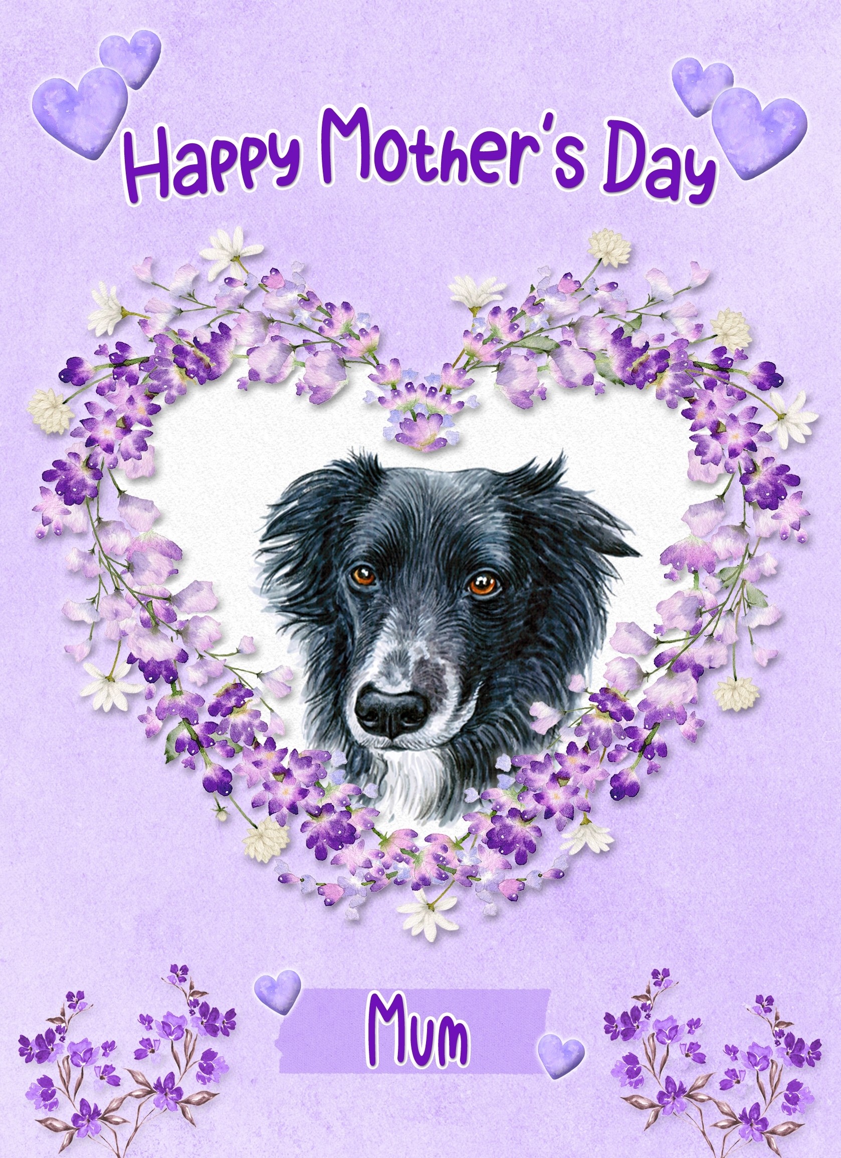 Border Collie Dog Mothers Day Card (Happy Mothers, Mum)
