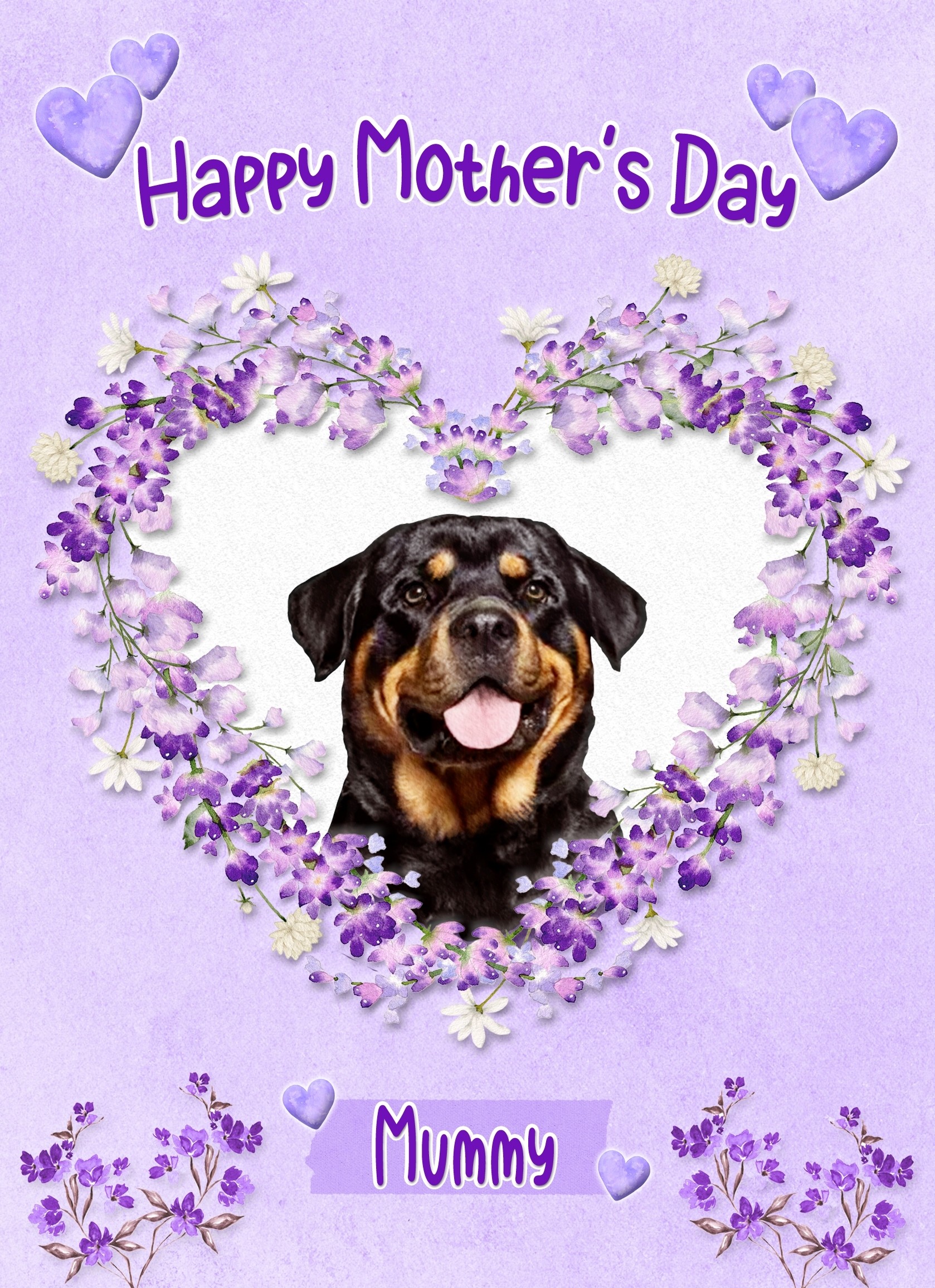 Rottweiler Dog Mothers Day Card (Happy Mothers, Mummy)