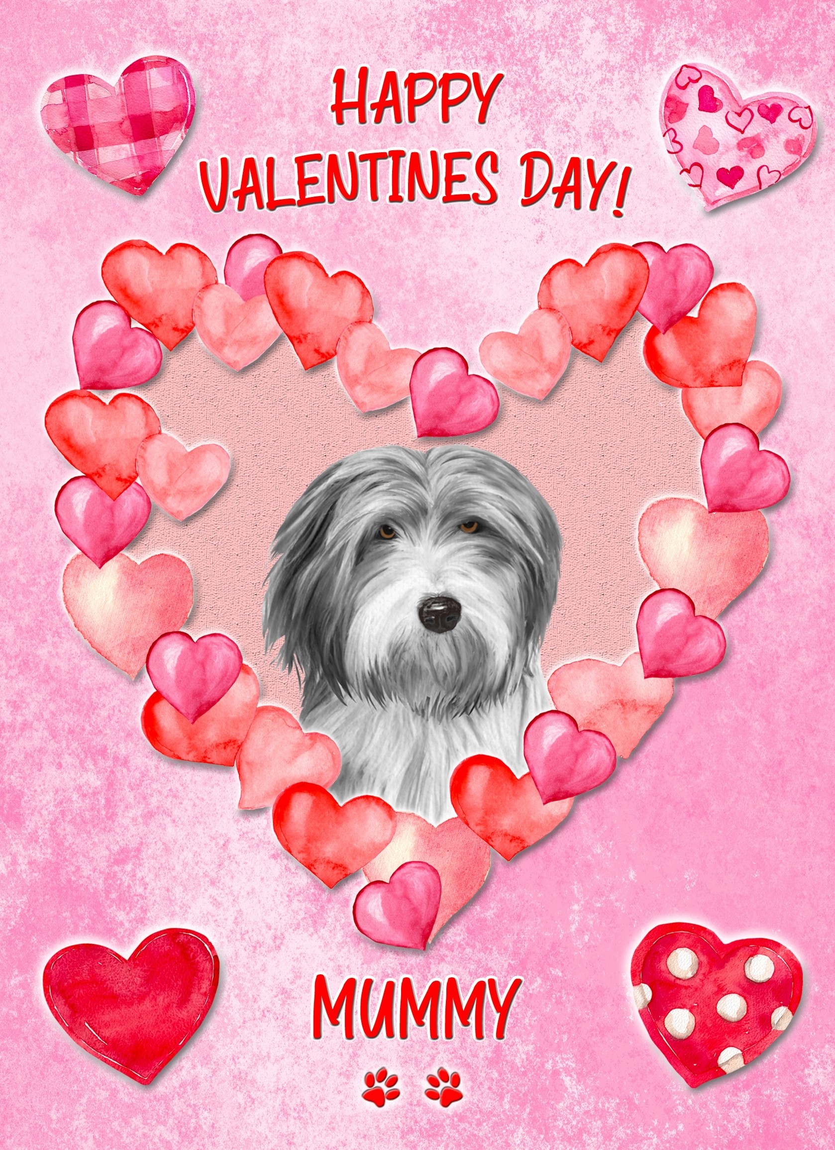 Bearded Collie Dog Valentines Day Card (Happy Valentines, Mummy)
