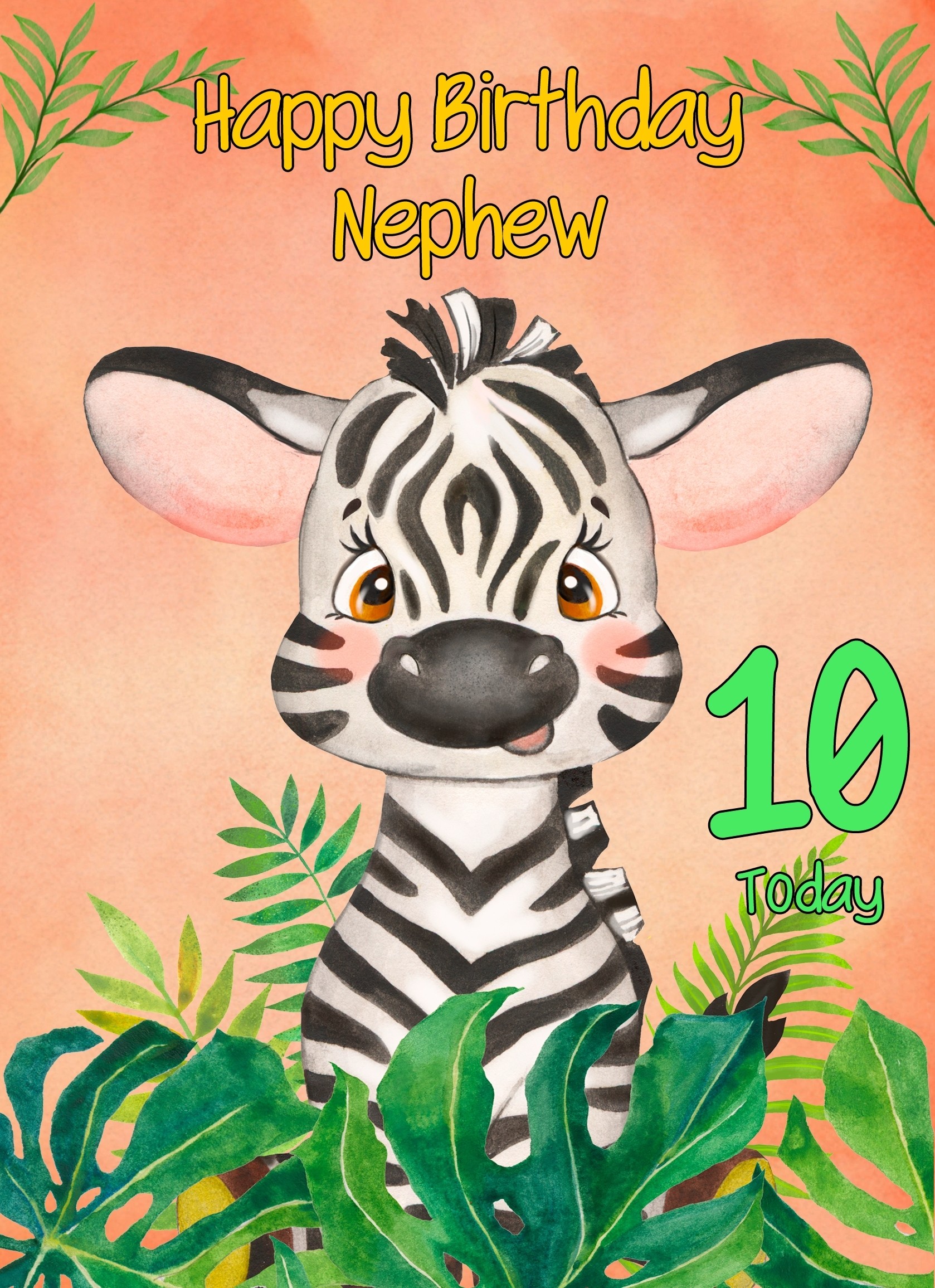 10th Birthday Card for Nephew (Zebra)
