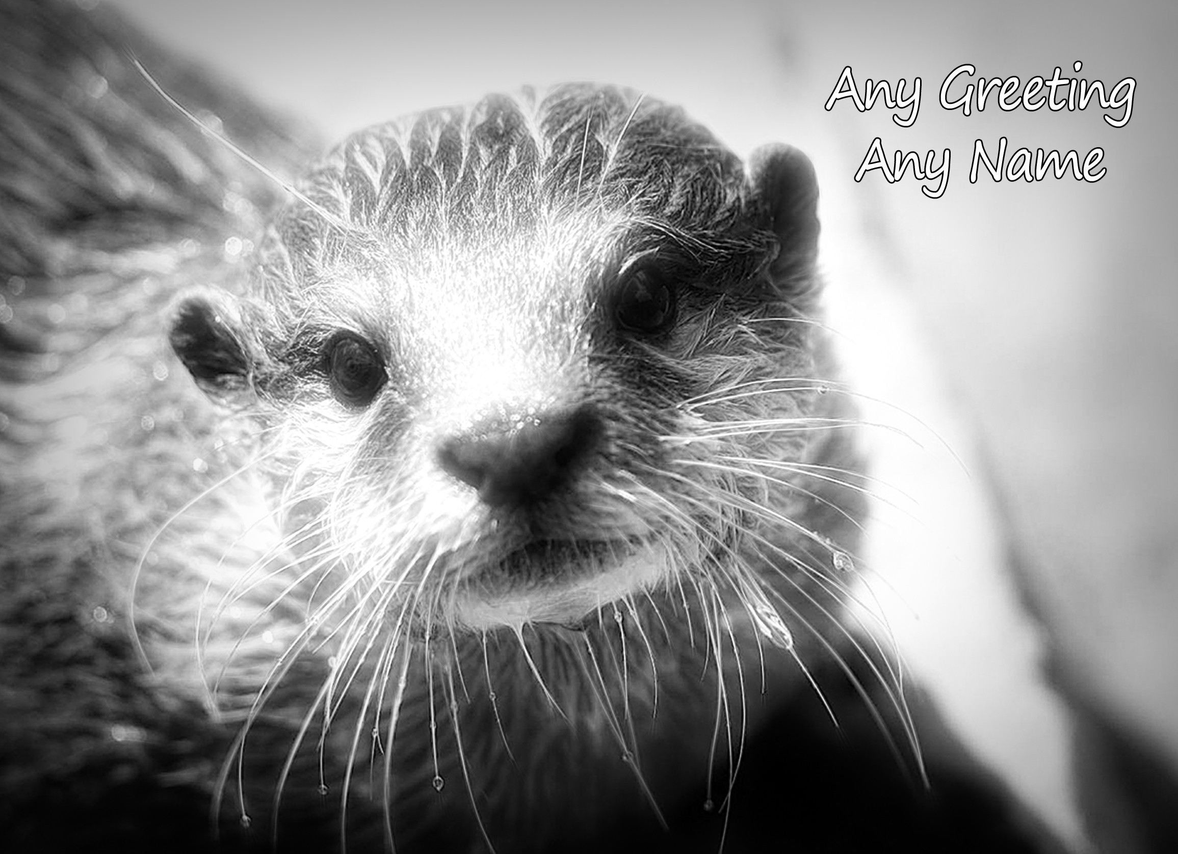 Personalised Otter Black and White Art Greeting Card (Birthday, Christmas, Any Occasion)