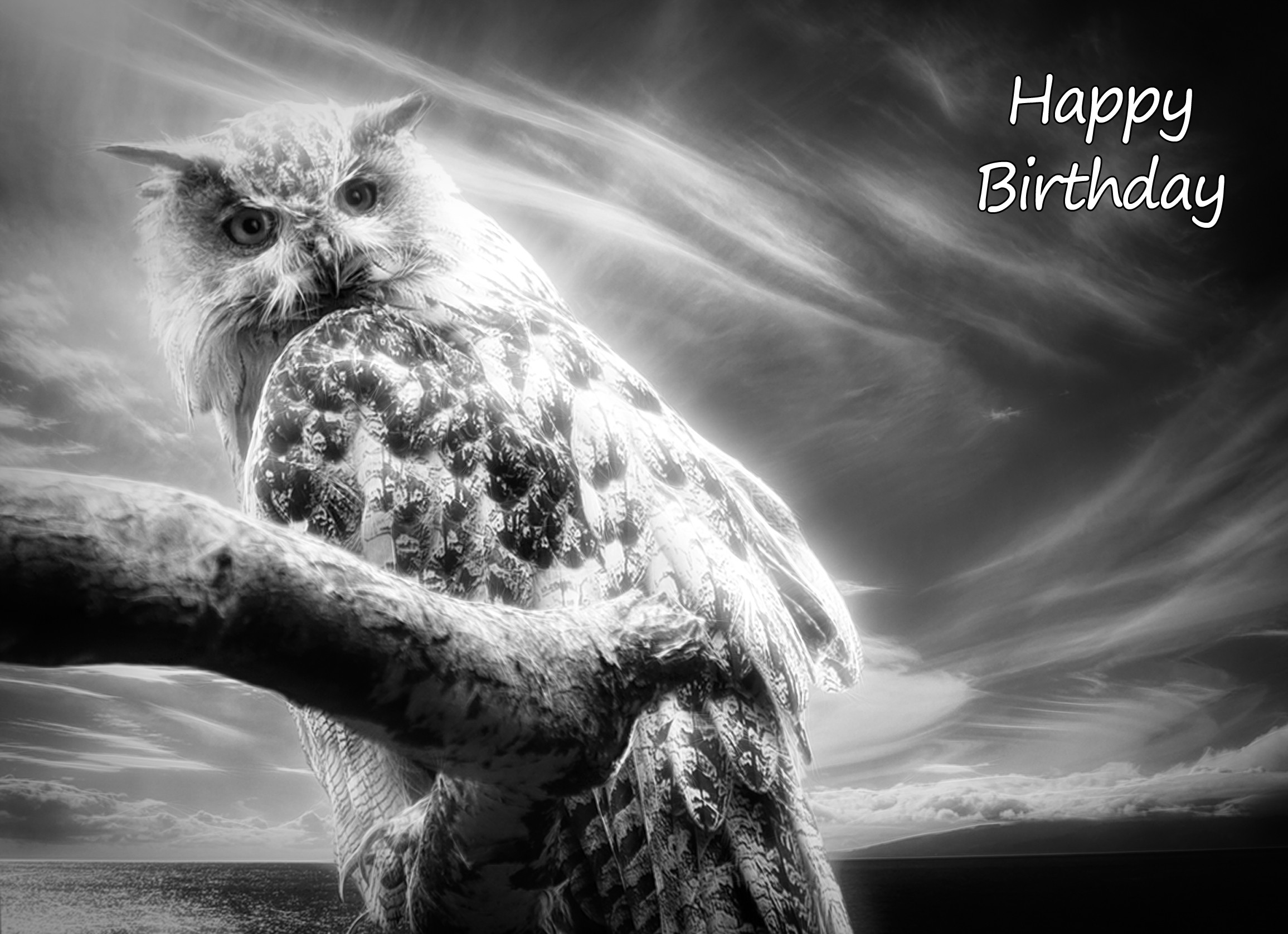 Owl Black and White Birthday Card