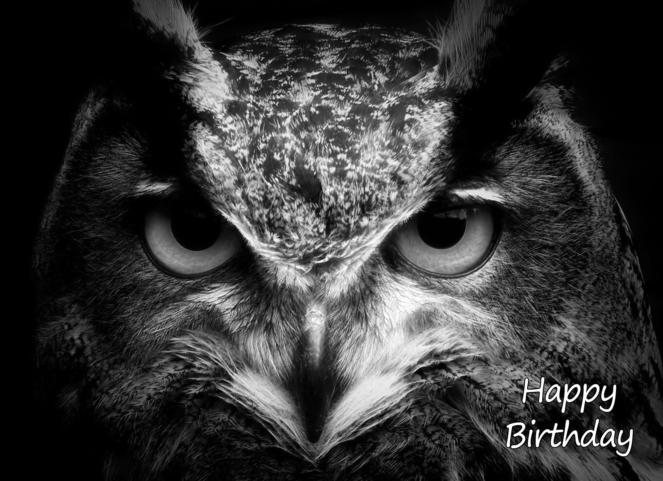 Owl Black and White Art Birthday Card