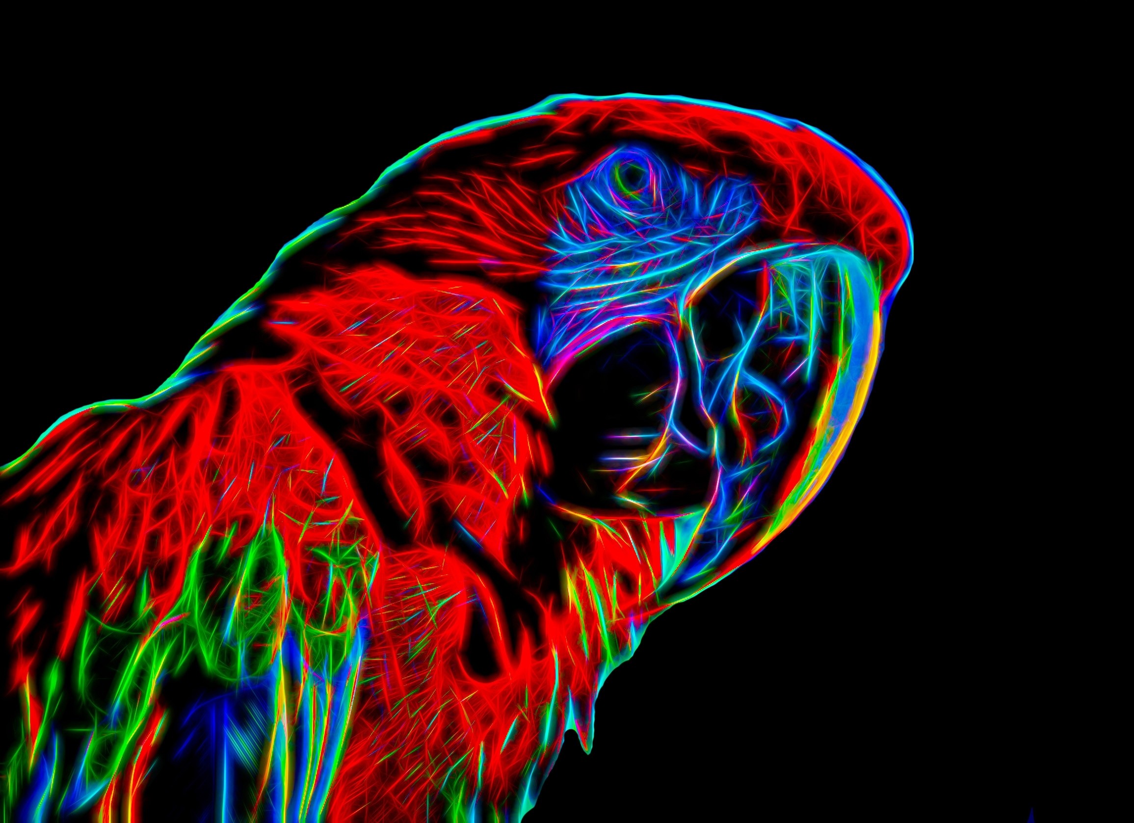 Parrot Neon Blank Greeting Card