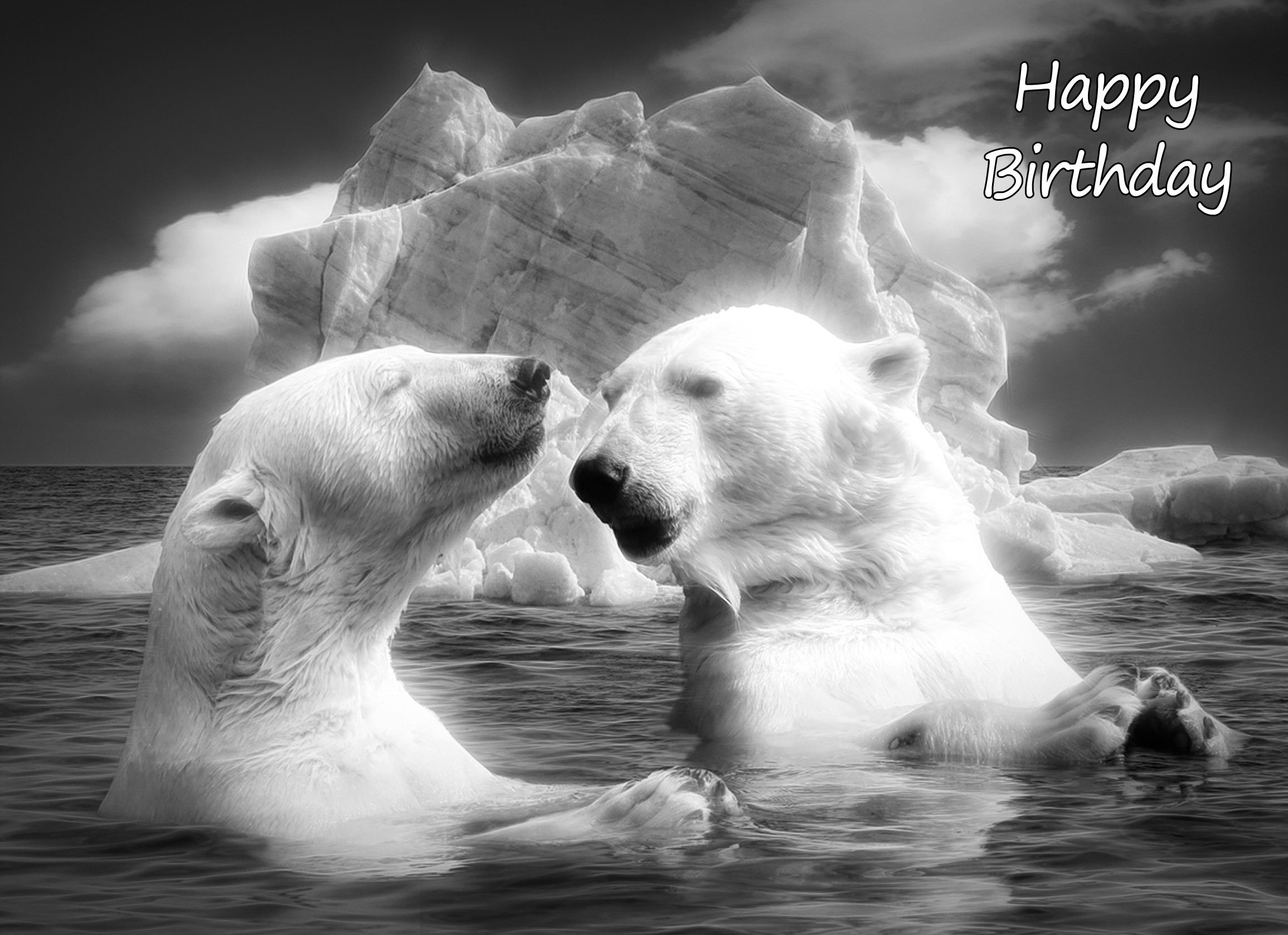 Polar Bear Black and White Art Birthday Card