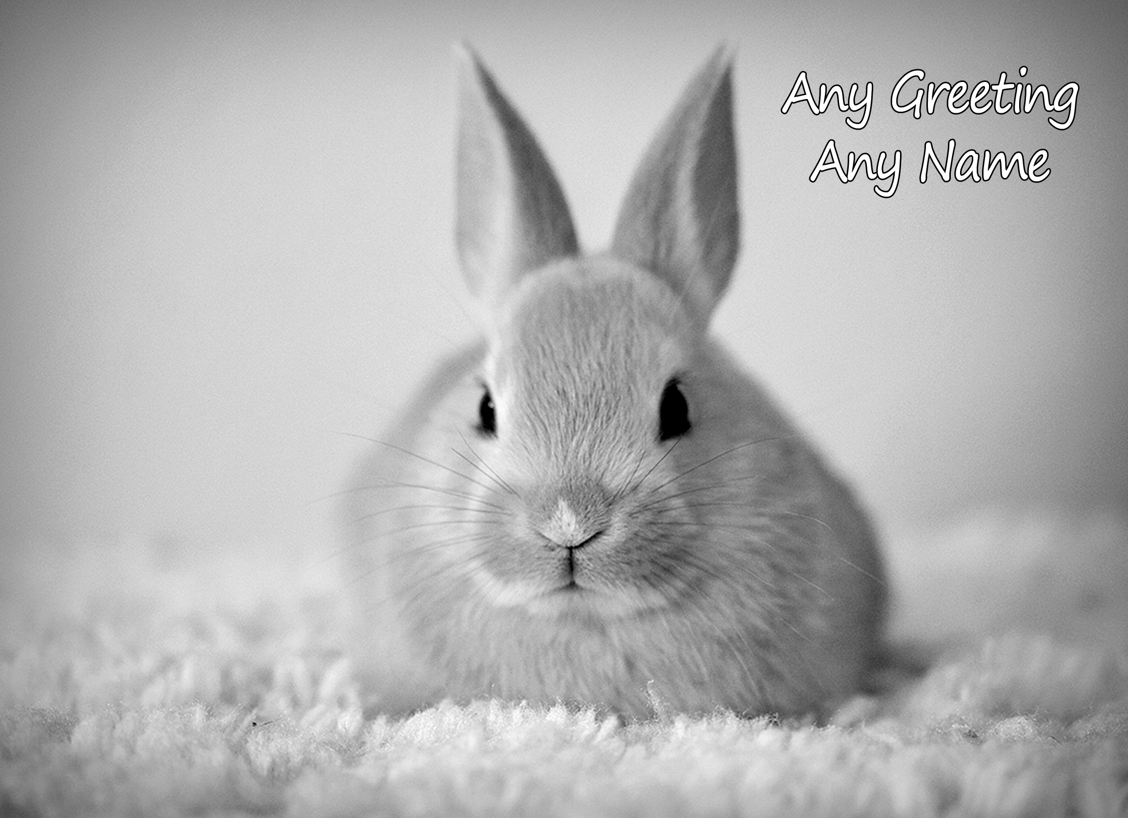 Personalised Rabbit Black and White Art Greeting Card (Birthday, Christmas, Any Occasion)