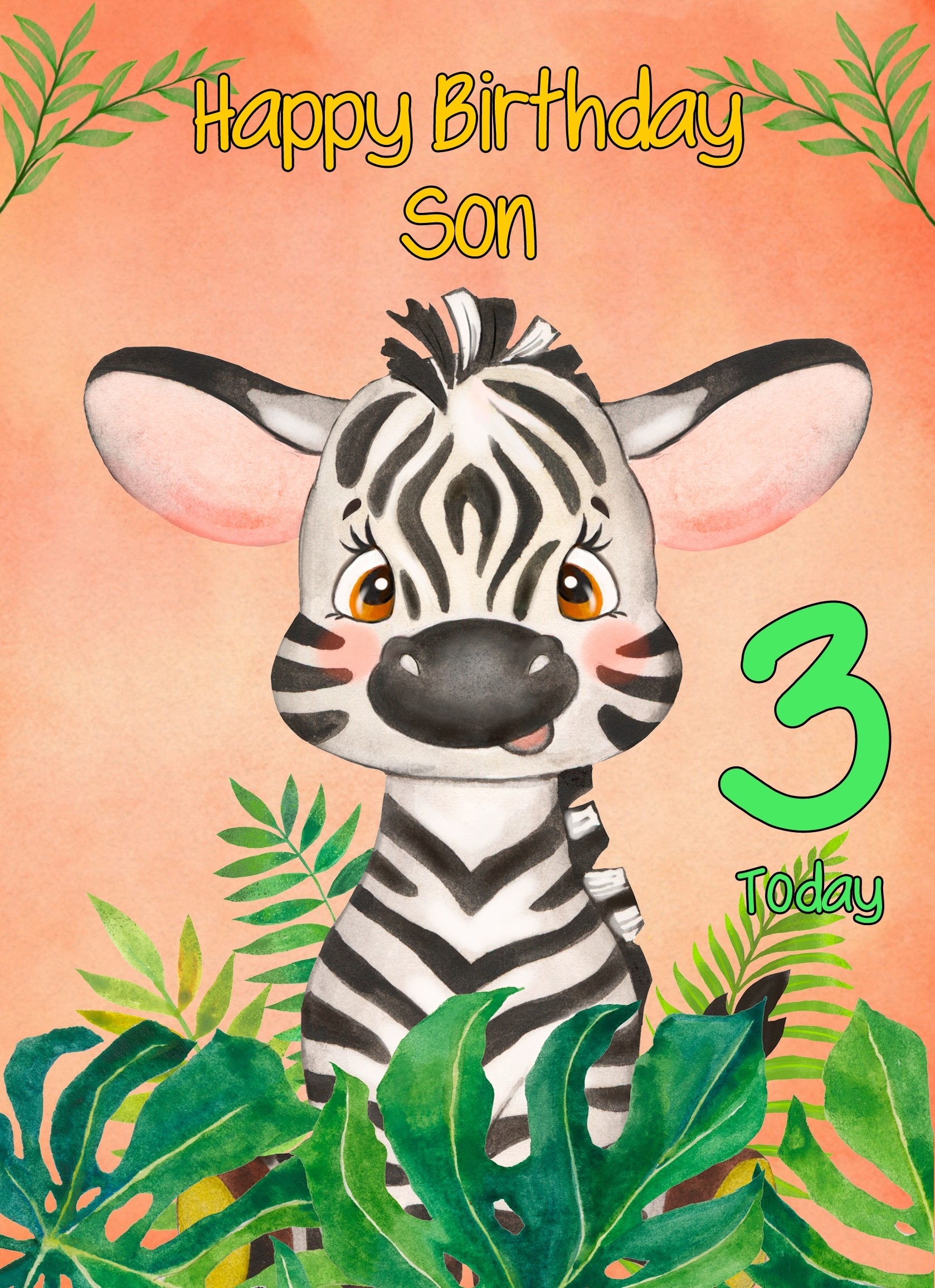 3rd Birthday Card for Son (Zebra)