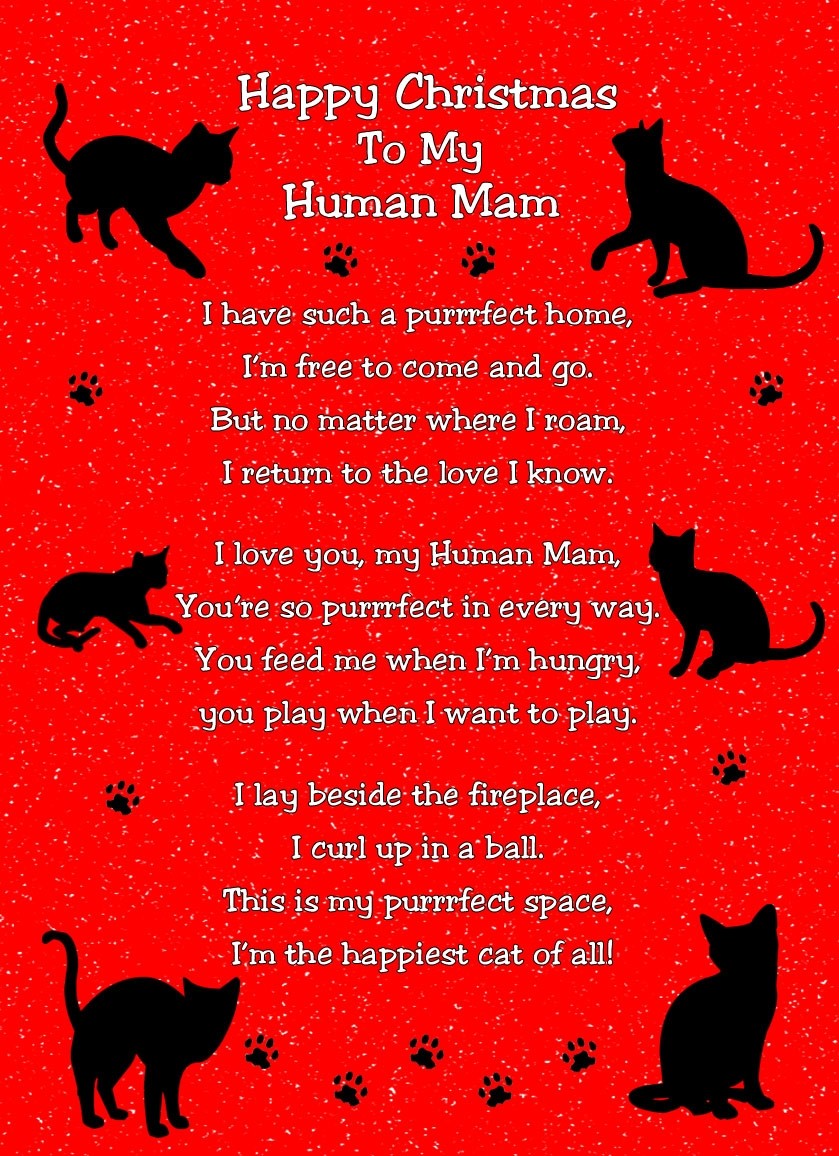 from The Cat Christmas Poem Verse Card (Human Mam)