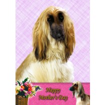 Afghan Hound Mother's Day Card