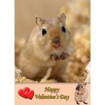 Gerbil Valentine's Day Card
