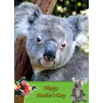 Koala Bear Mother's Day Card