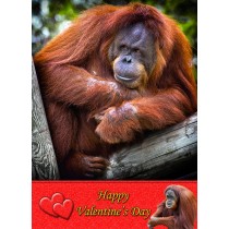 Orangutan Valentine's Day Card