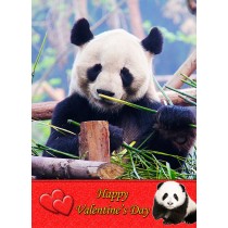 Panda Valentine's Day Card