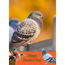 Pigeon Mother's Day Card