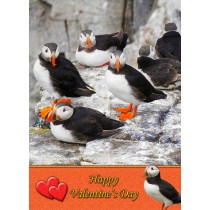 Puffin Valentine's Day Card