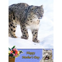 Snow Leopard Mother's Day Card