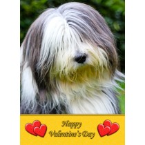 Bearded Collie Valentine's Day Card
