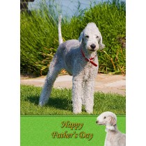 Bedlington Terrier Father's day card