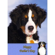Bernese Mountain Dog Father's Day Card