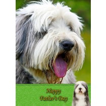 bearded Collie father's day card