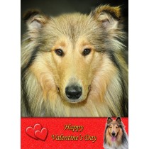 Rough Collie Valentine's Day Card