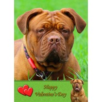 Dogue de Bordeaux Valentine's Day Card