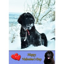 New Foundland Valentine's Day Card