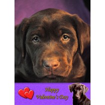 Chocolate Labrador Valentine's Day Card